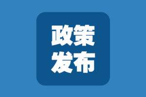 无障碍适老化 | 国务院办公厅1号文：通过地方政府专项债券支持符合条件的银发经济产业项目