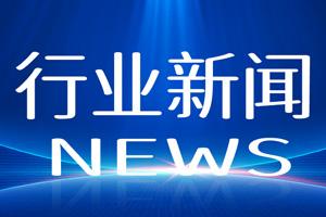 中国残联在京召开《残疾人残疾分类和分级》国家标准修订课题研究结题专家评审会